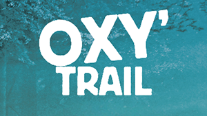 moyenne icone portfolio OxyTrail