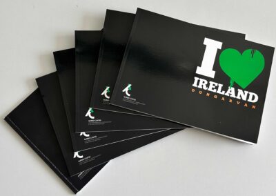 Contenu-livre-Irlande-1