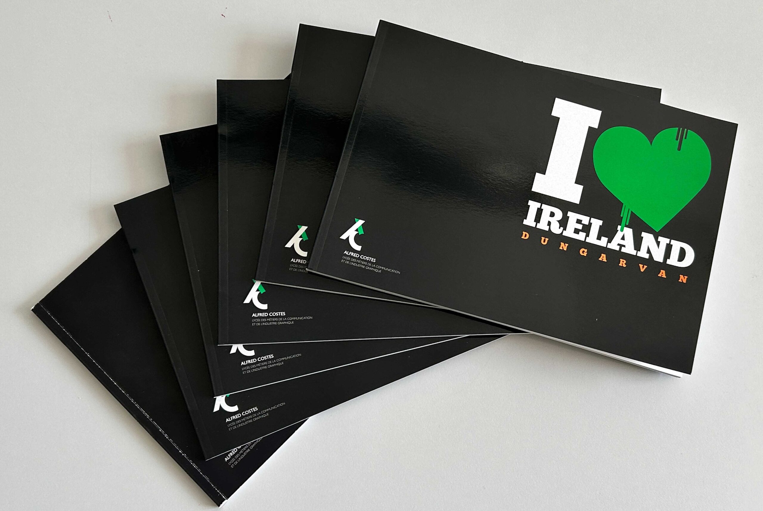 Contenu-livre-Irlande-1